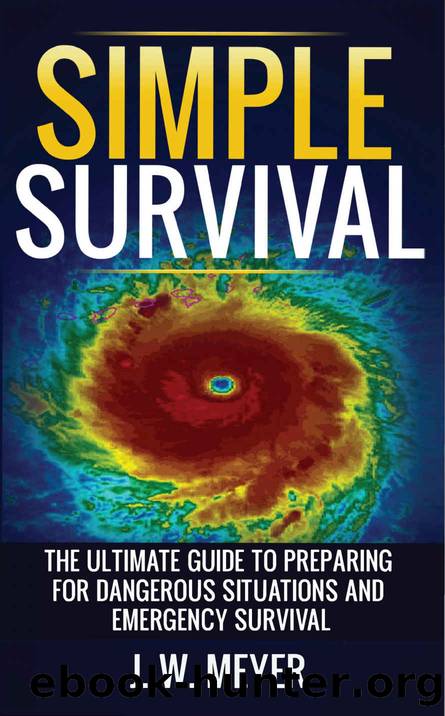 Simple Survival by Meyer J. W