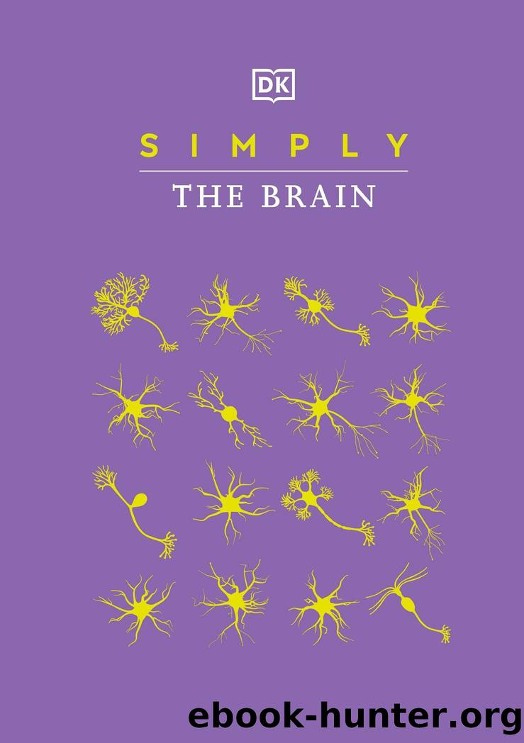 Simply The Brain by Dorling Kindersley