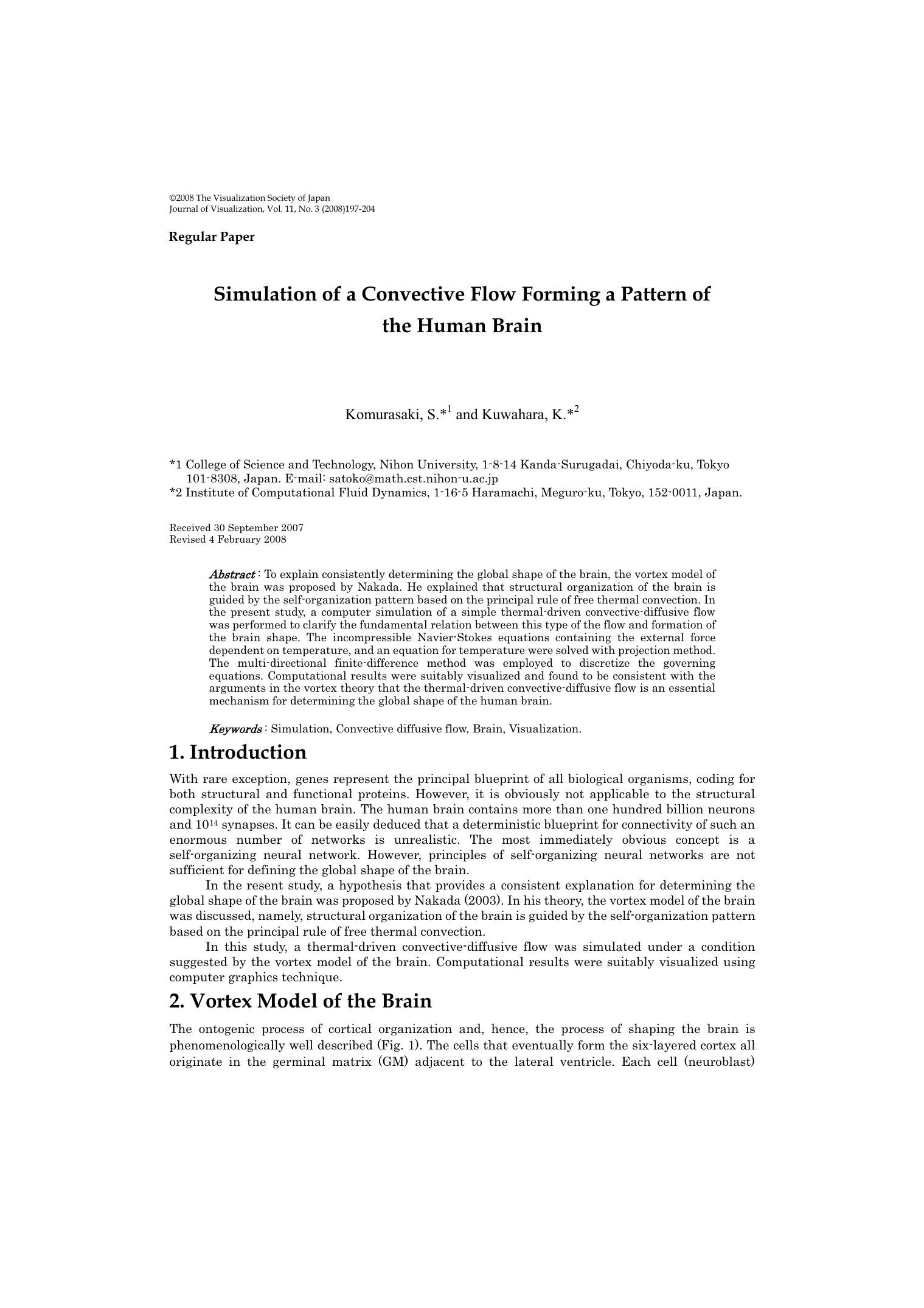 Simulation of a convective flow forming a pattern of the human brain by Unknown