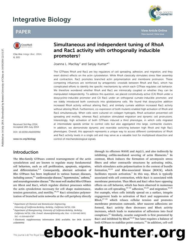 Simultaneous and independent tuning of RhoA and Rac1 activity with orthogonally inducible promoters by Joanna L. MacKay