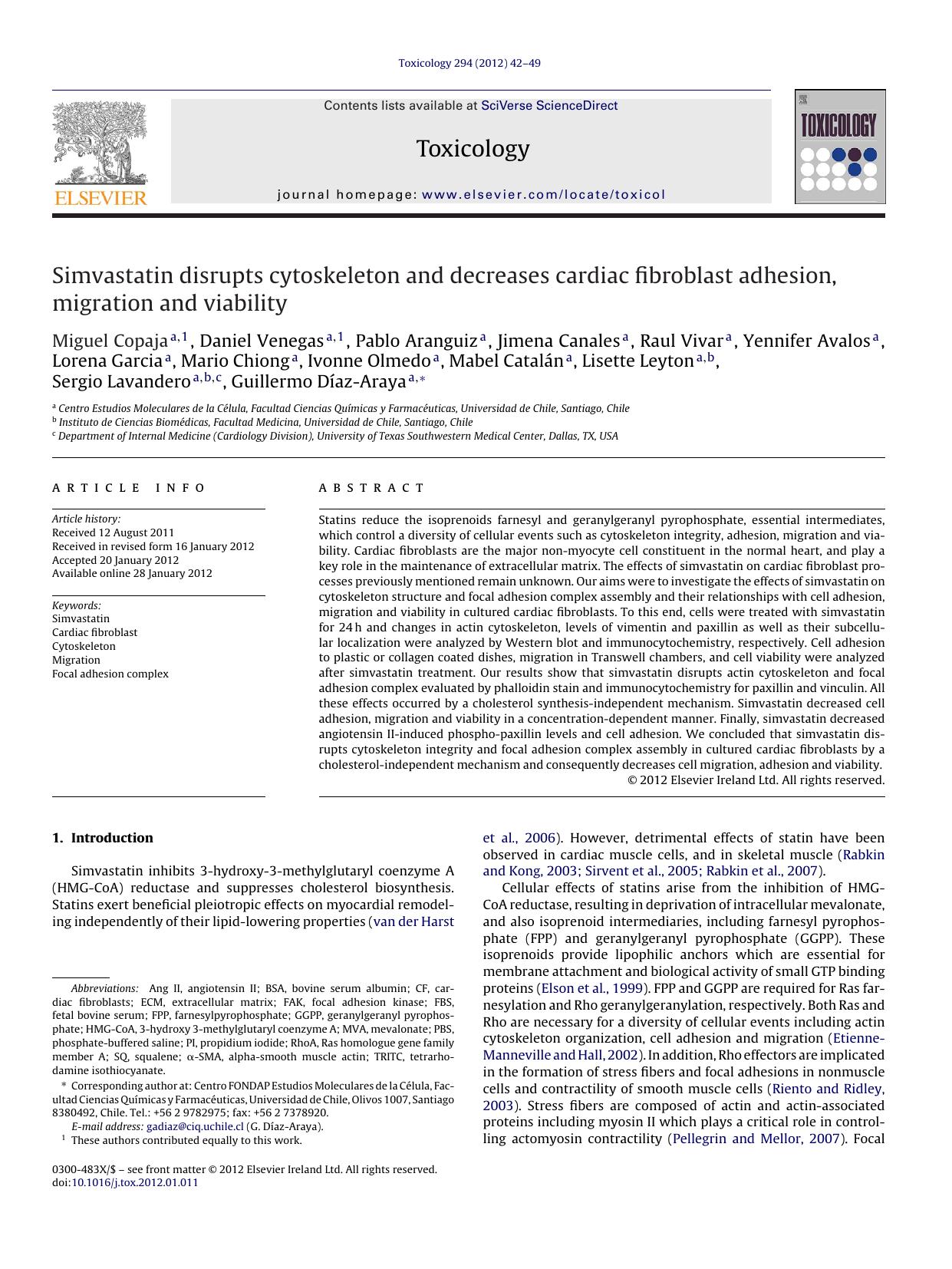 Simvastatin disrupts cytoskeleton and decreases cardiac fibroblast adhesion, migration and viability by Miguel Copaja