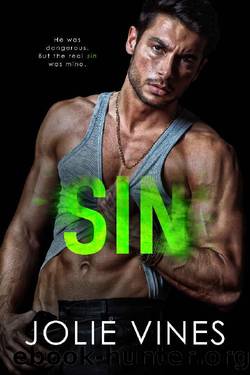 Sin (Dark Island Scots, #2) by Jolie Vines