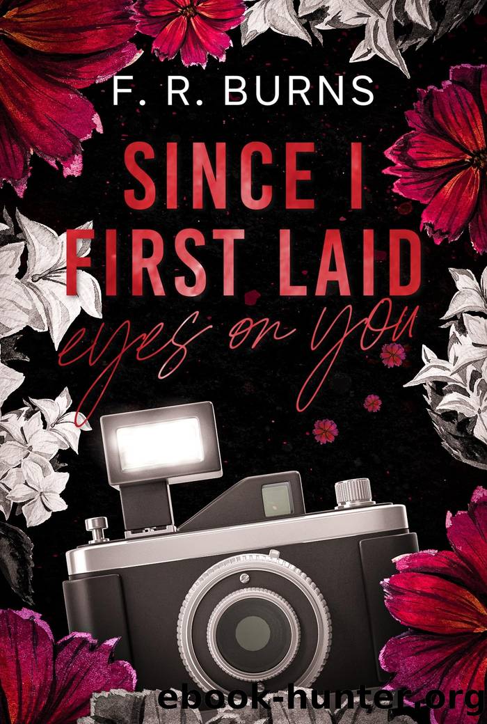 Since I First Laid Eyes On You: Novella by F. R. Burns