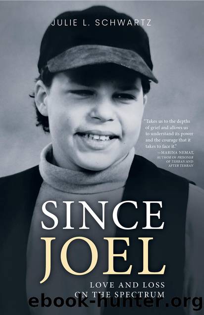 Since Joel by Julie L. Schwartz