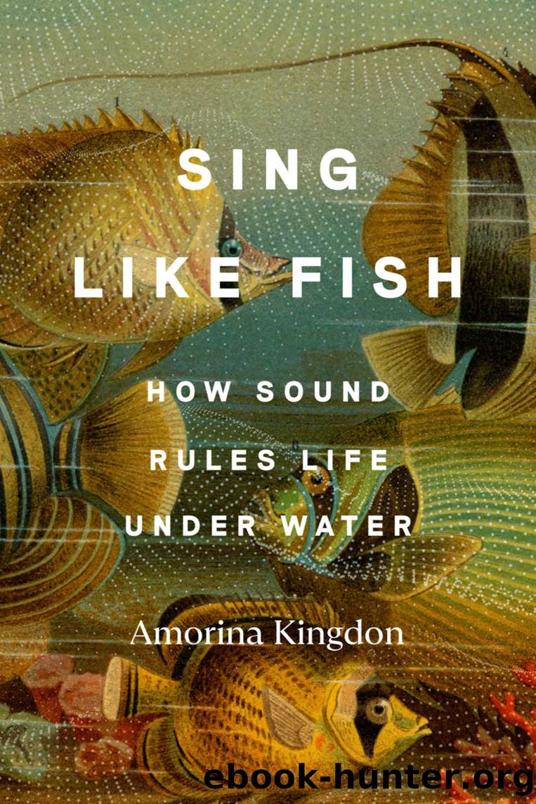 Sing Like Fish by Amorina Kingdon