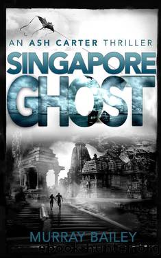 Singapore Ghost by Murray Bailey