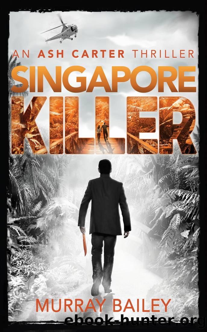 Singapore Killer by Murray Bailey