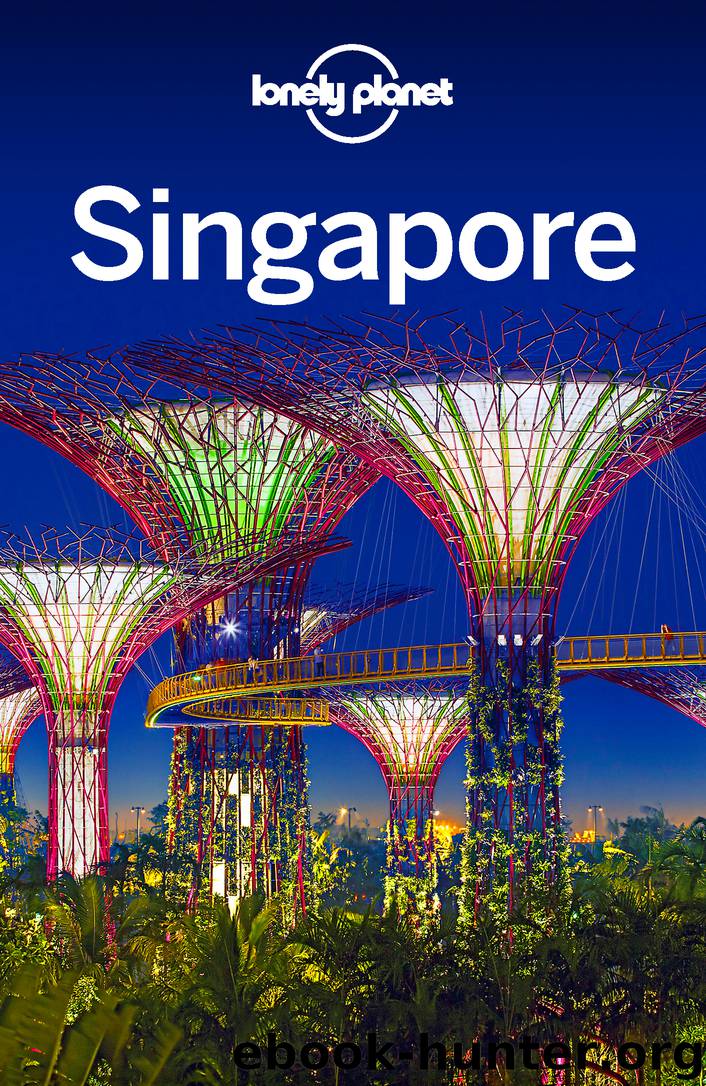 Singapore Travel Guide by Lonely Planet