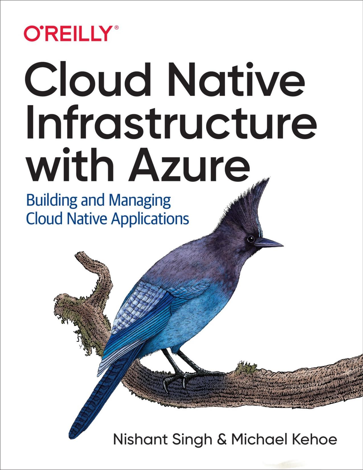 Singh N. Cloud Native Infrastructure with Azure...2022 by Zamzar