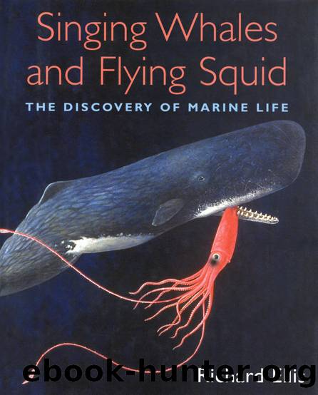 Singing Whales and Flying Squid by Ellis Richard
