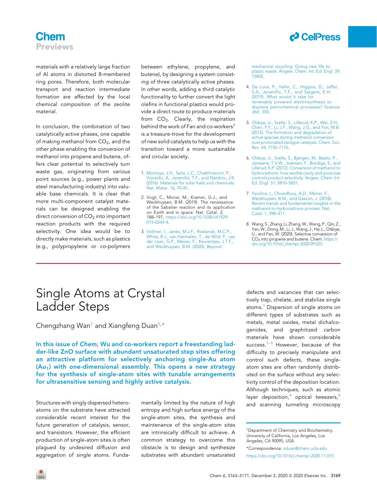 Single Atoms at Crystal Ladder Steps by Chengzhang Wan & Xiangfeng Duan