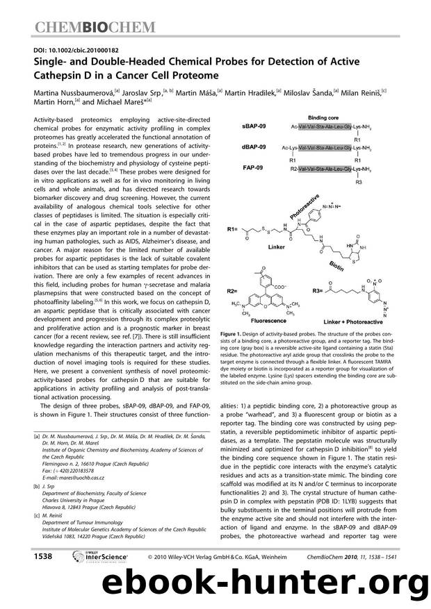 Single and DoubleHeaded Chemical Probes for Detection of Active Cathepsin D in a Cancer Cell Proteome by Unknown