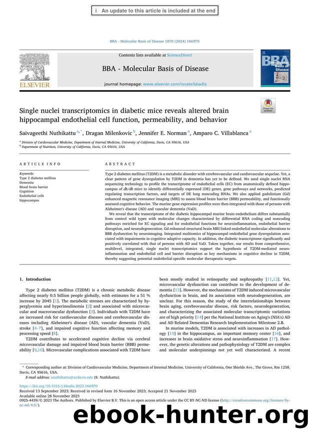 Single nuclei transcriptomics in diabetic mice reveals altered brain hippocampal endothelial cell function, permeability, and behavior by Saivageethi Nuthikattu & Dragan Milenkovic & Jennifer E. Norman & Amparo C. Villablanca