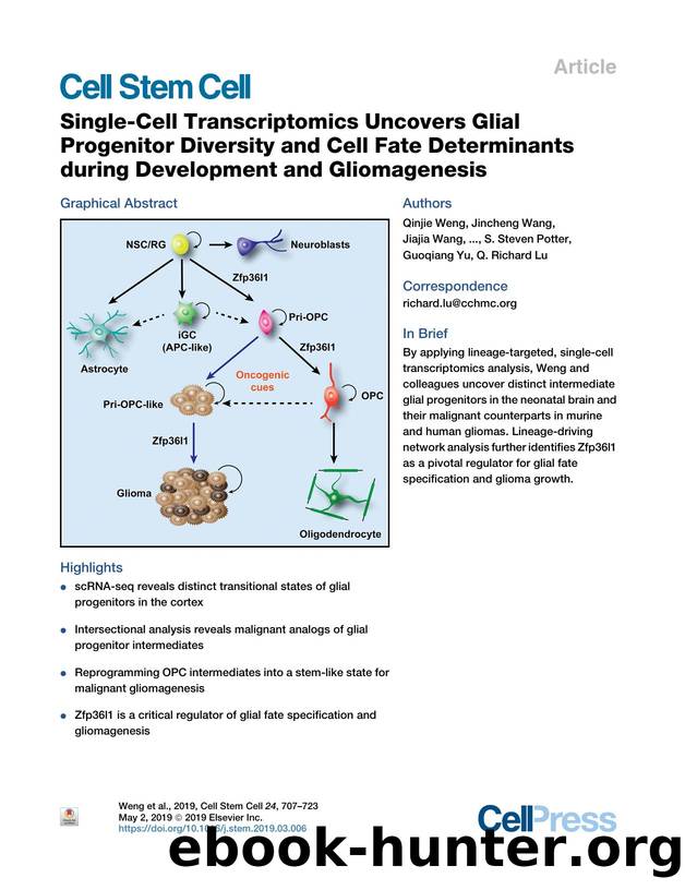 Single-Cell Transcriptomics Uncovers Glial Progenitor Diversity and Cell Fate Determinants during Development and Gliomagenesis by unknow