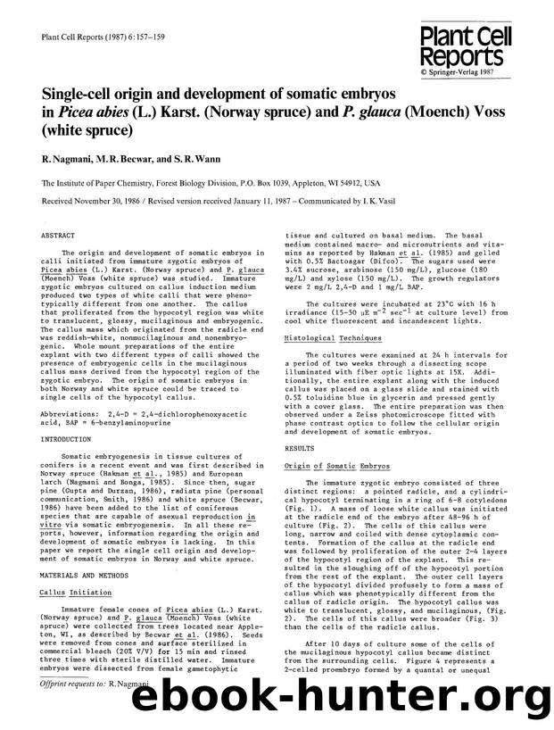 Single-cell origin and development of somatic embryos in <Emphasis Type="Italic">Picea abies<Emphasis> (L.) Karst. (Norway spruce) and <Emphasis Type="Italic">P. glauca<Emphasis> ( by Unknown