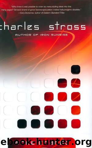 Singularity 3 - Accelerando by Charles Stross