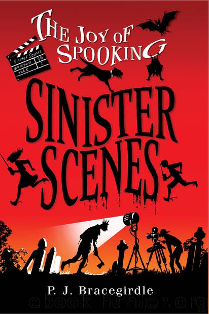 Sinister Scenes by P.J. Bracegirdle