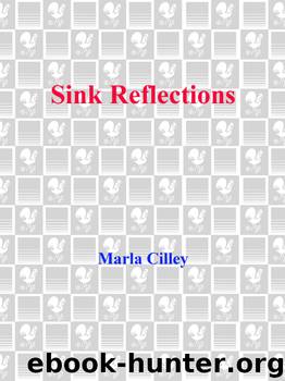 Sink Reflections by Marla Cilley