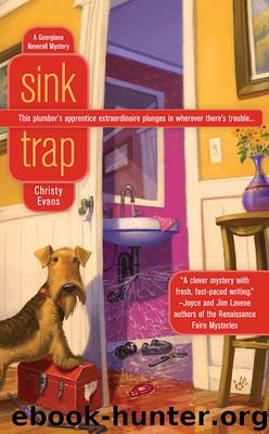 Sink Trap by Christy Evans