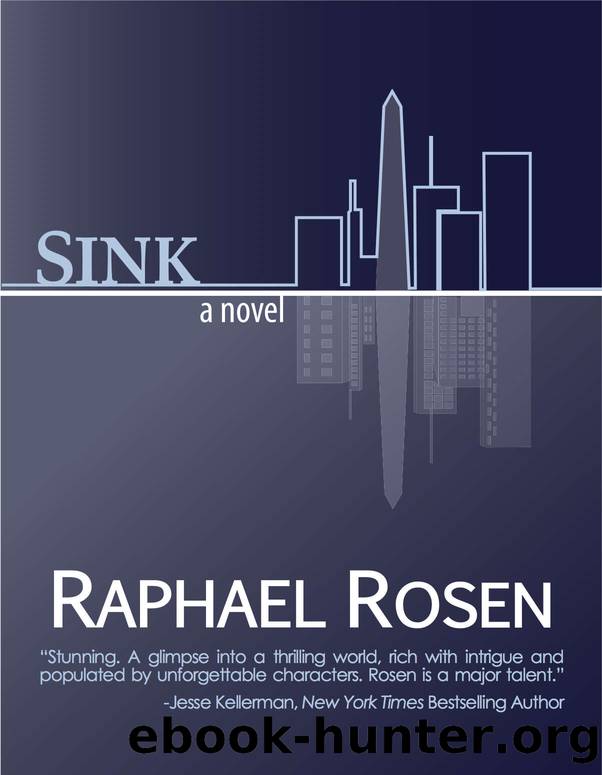 Sink by Raphael Rosen
