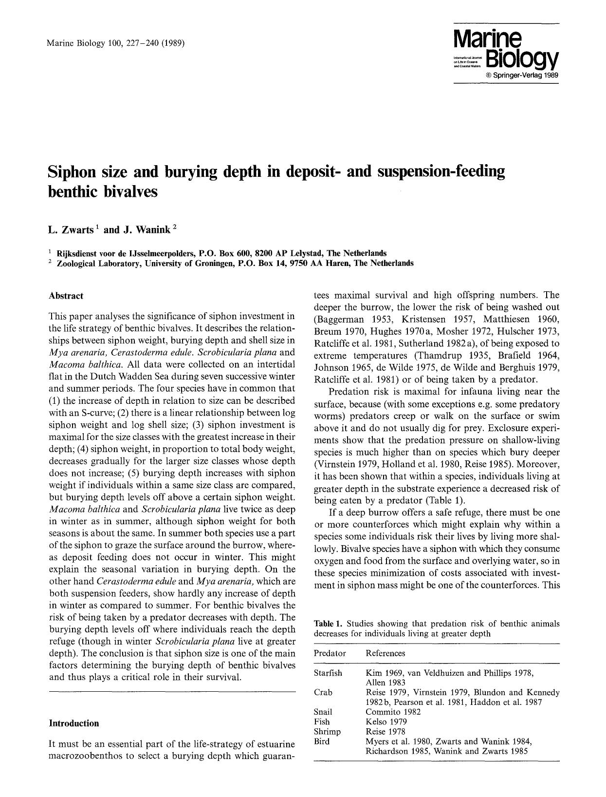 Siphon size and burying depth in deposit- and suspension-feeding benthic bivalves by Unknown