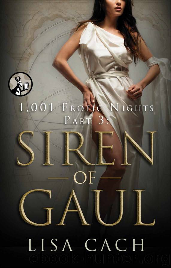 Siren of Gaul - 1,001 Erotic Nights 3 by Lisa Cach