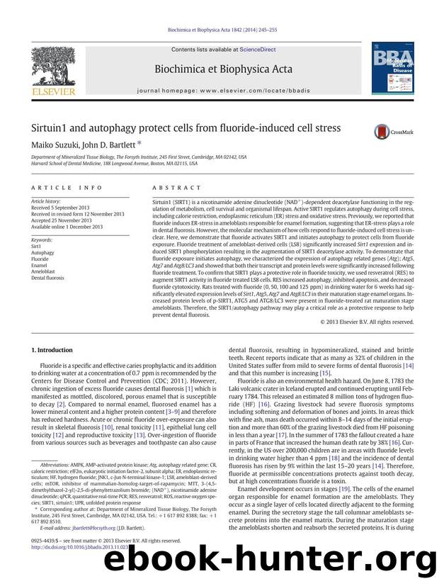 Sirtuin1 and autophagy protect cells from fluoride-induced cell stress by Maiko Suzuki & John D. Bartlett
