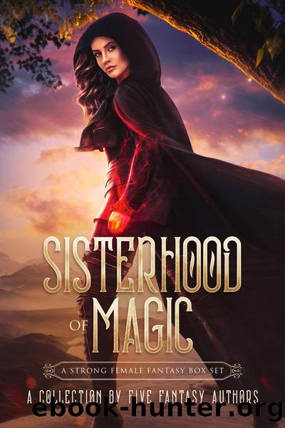 Sisterhood of Magic by Selina J. Eckert & Janeal Falor & Thalia Blake & H. L. Burke & L. Palmer