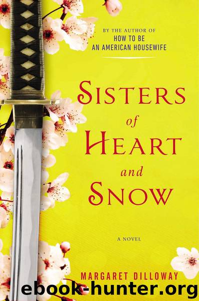 Sisters of Heart and Snow by Margaret Dilloway