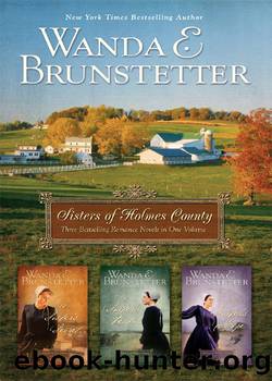 Sisters of Holmes County Omnibus by Wanda E. Brunstetter
