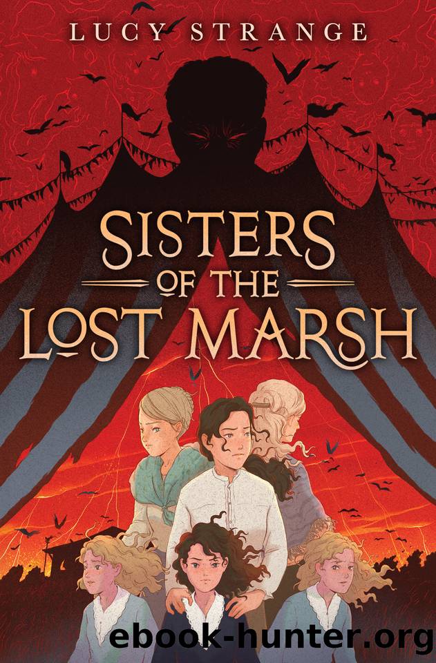 Sisters of the Lost Marsh by Lucy Strange