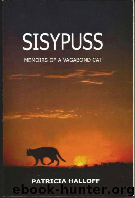 Sisypuss: Memoirs of a Vagabond Cat by Patricia Halloff