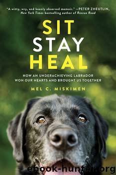 Sit Stay Heal by Mel Miskimen