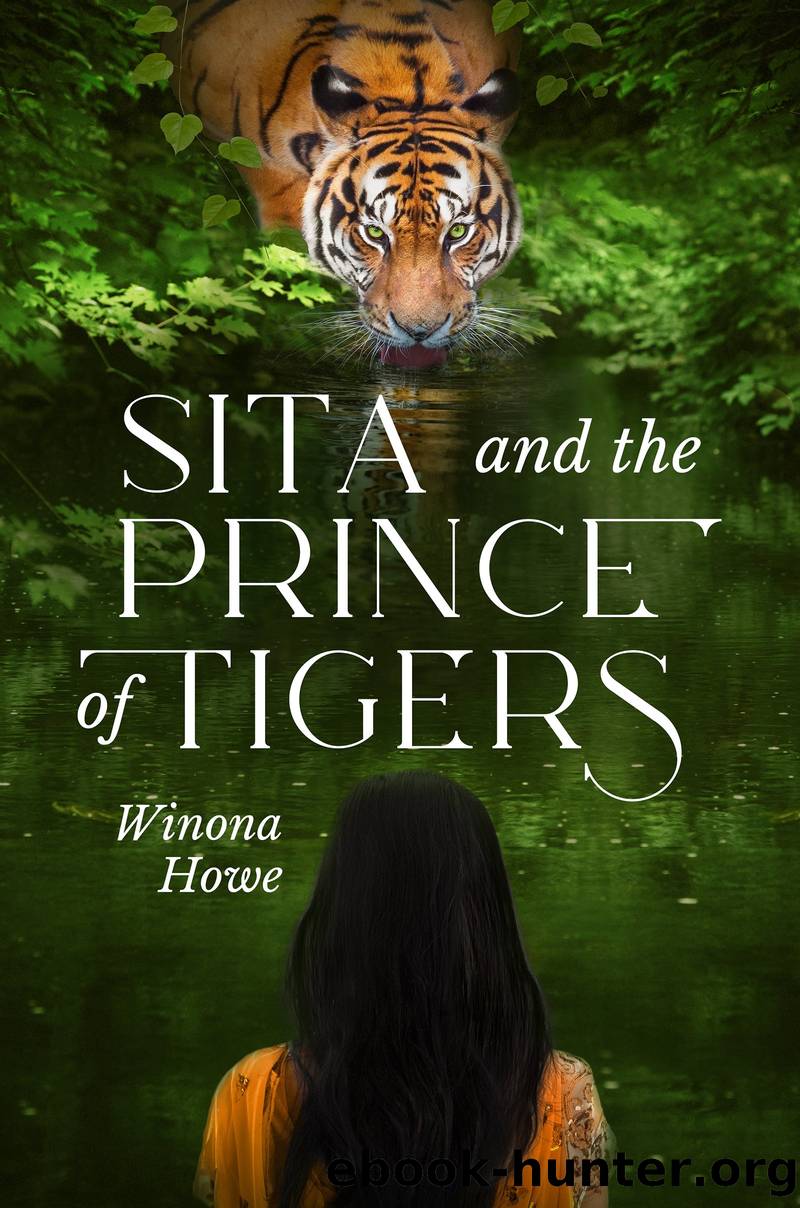 Sita and the Prince of Tigers by Winona Howe