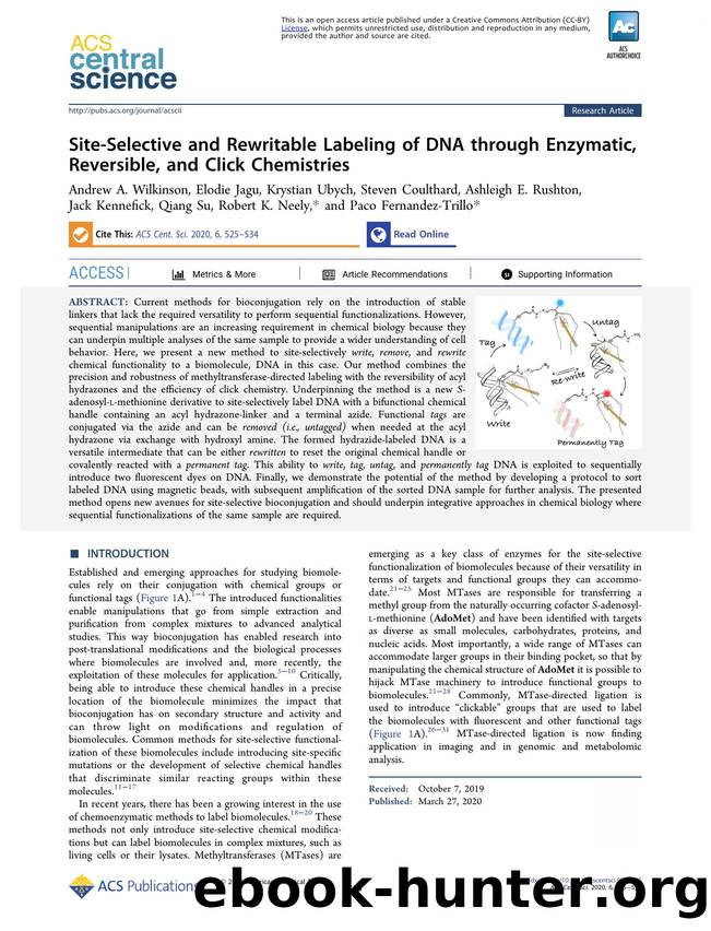 Site-Selective and Rewritable Labeling of DNA through Enzymatic, Reversible, and Click Chemistries by unknow