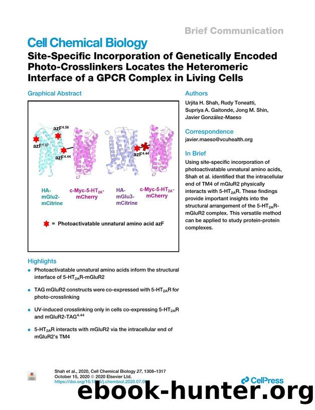 Site-Specific Incorporation of Genetically Encoded Photo-Crosslinkers Locates the Heteromeric Interface of a GPCR Complex in Living Cells by Urjita H. Shah & Rudy Toneatti & Supriya A. Gaitonde & Jong M. Shin & Javier González-Maeso
