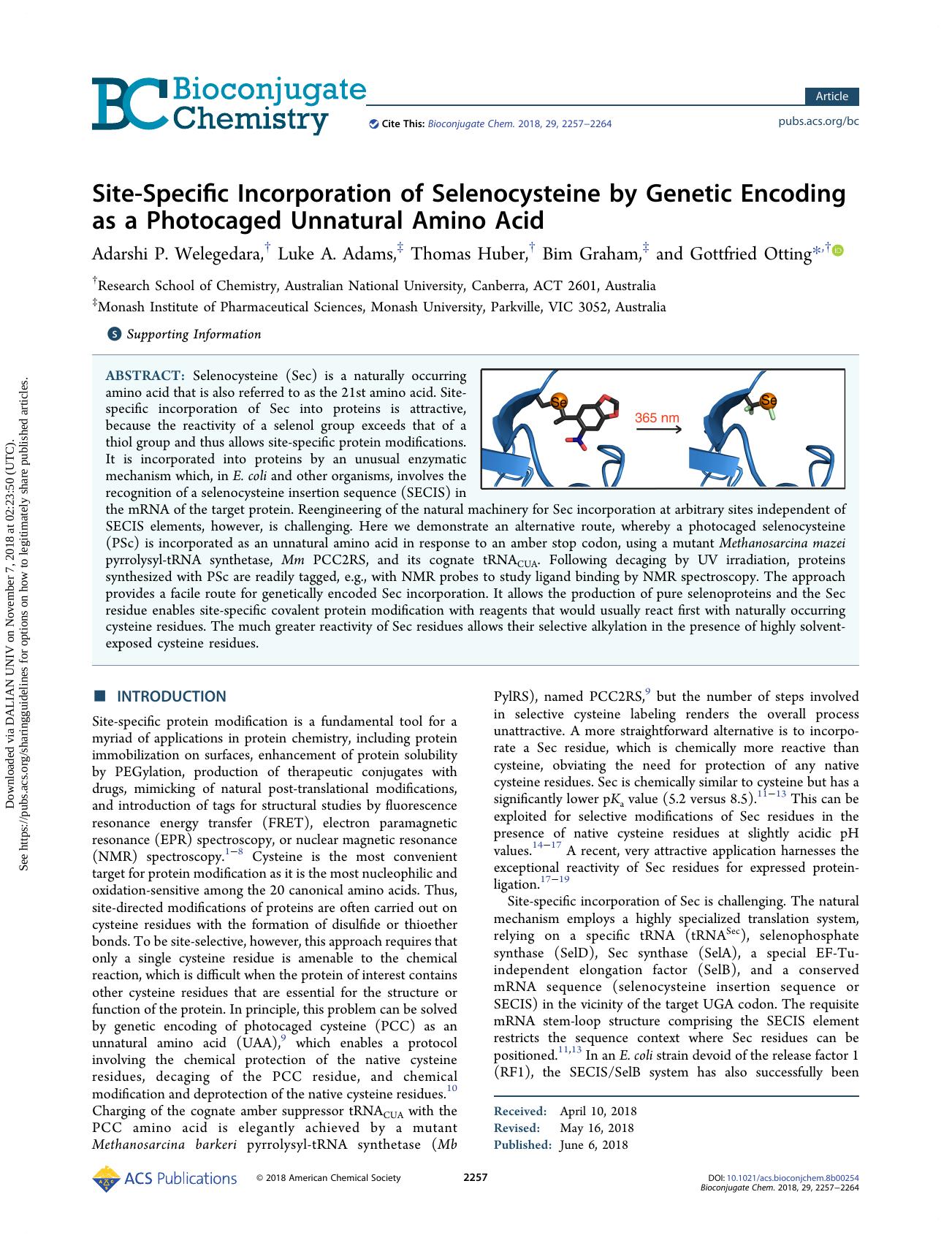 Site-Specific Incorporation of Selenocysteine by Genetic Encoding as a Photocaged Unnatural Amino Acid by Adarshi P. Welegedara & Luke A. Adams & Thomas Huber & Bim Graham & Gottfried Otting