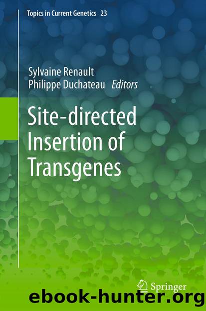 Site-directed insertion of transgenes by Sylvaine Renault & Philippe Duchateau