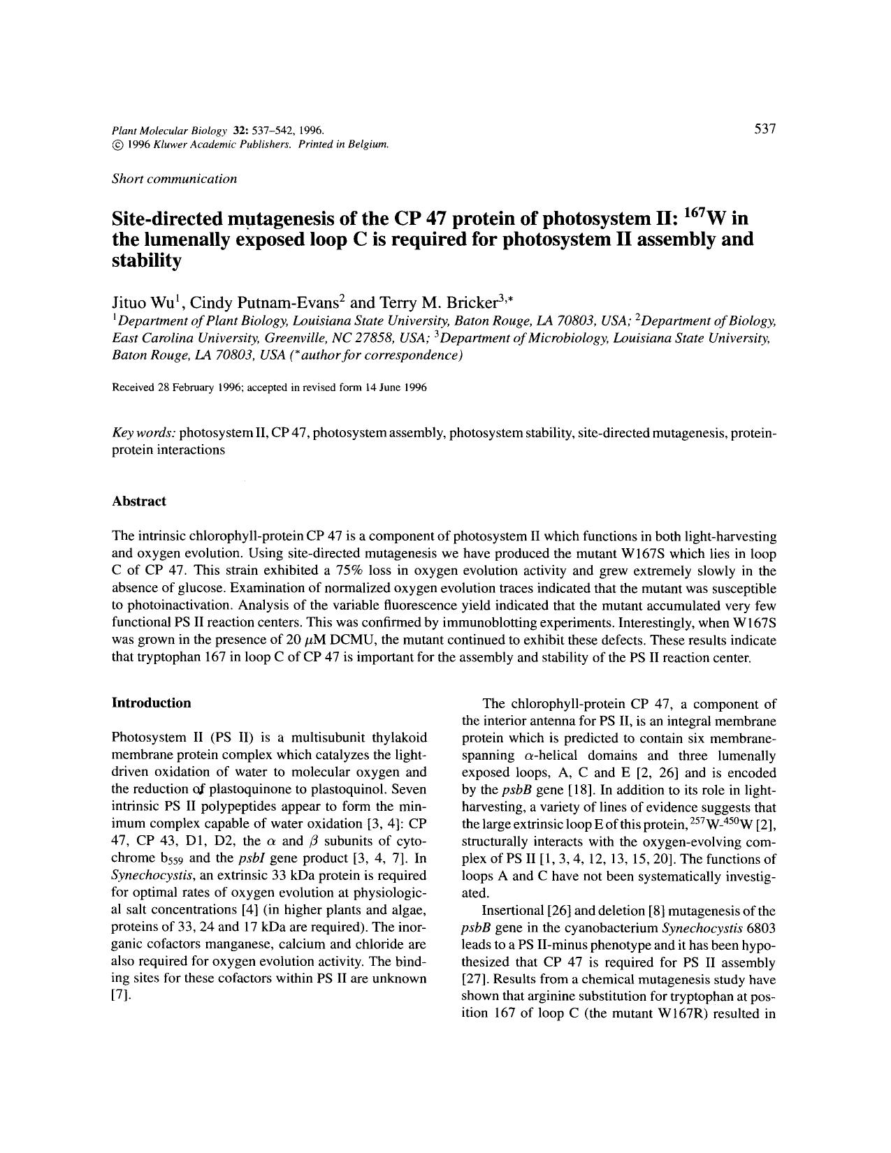 Site-directed mutagenesis of the CP 47 protein of photosystem II: <Superscript>167 <Superscript>W in the lumenally exposed loop C is required for photosystem II assembly and stability by Unknown