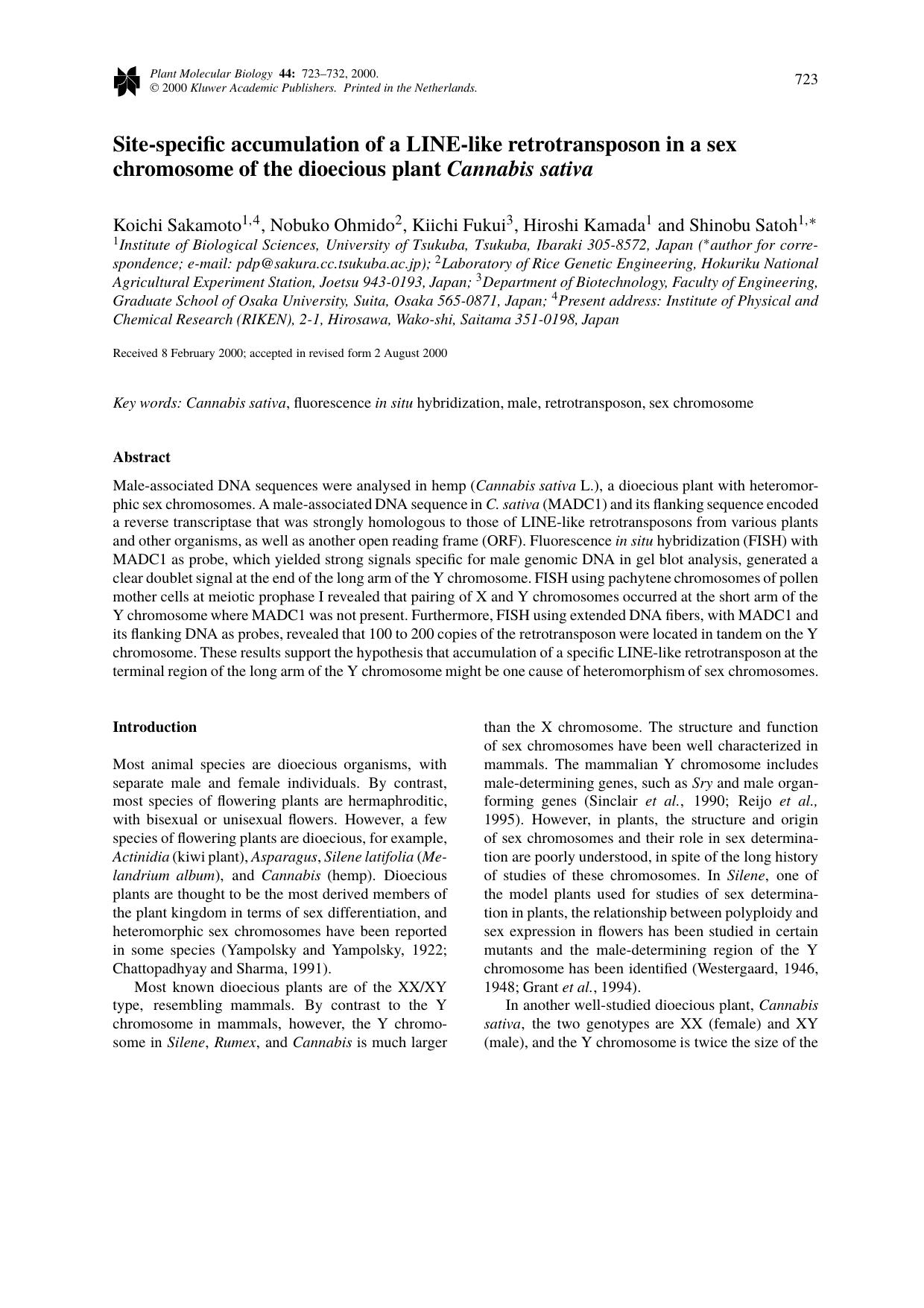 Site-specific accumulation of a LINE-like retrotransposon in a sex chromosome of the dioecious plant Cannabis sativa by Unknown
