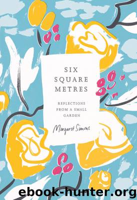 Six Square Metres by Margaret Simons