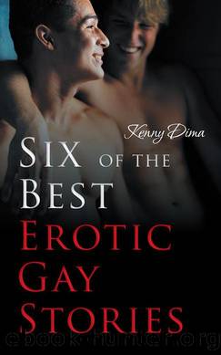 Six of the Best Erotic Gay Stories by Kenny Dima