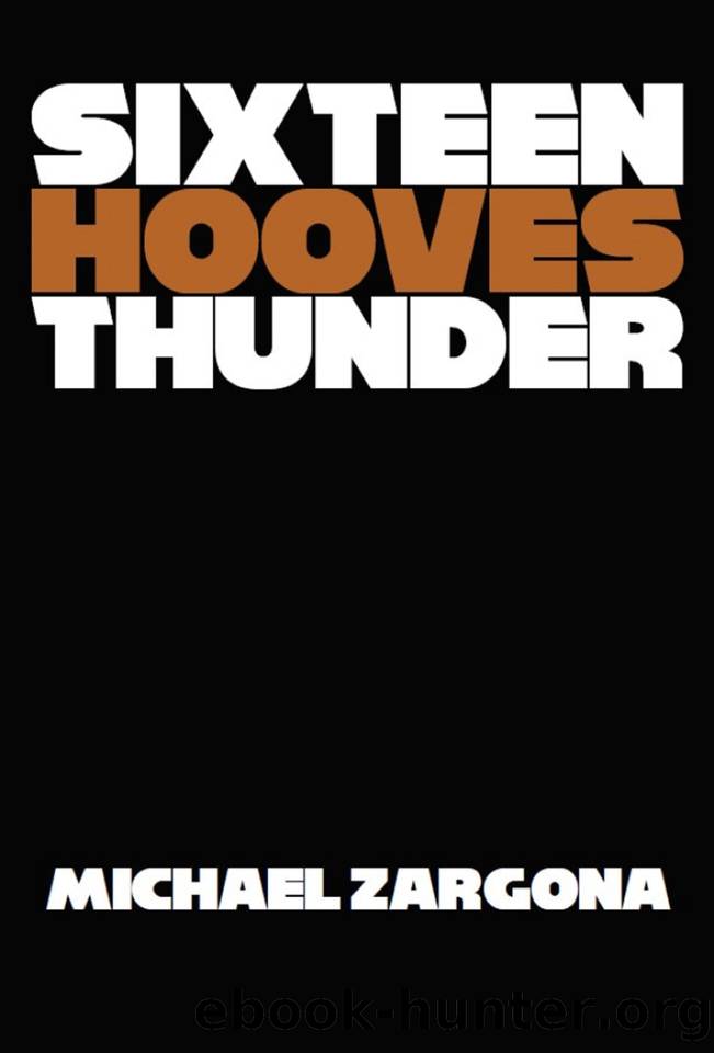 Sixteen Hooves Thunder (The Apocalypse Revealed Book 2) by Zargona Michael