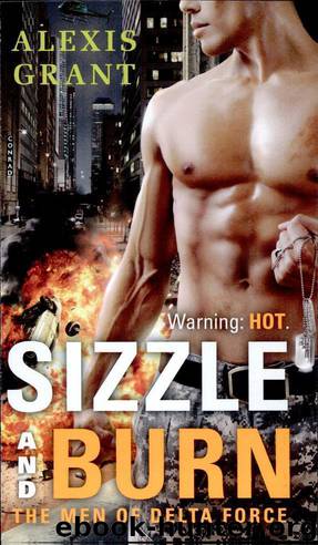 Sizzle and Burn by Alexis Grant