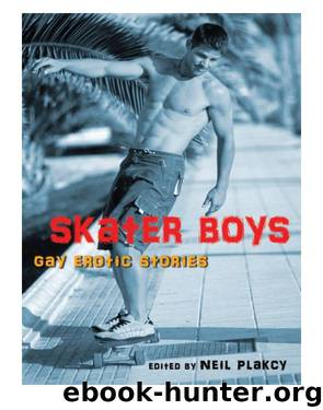Skater Boys by Neil Plakcy