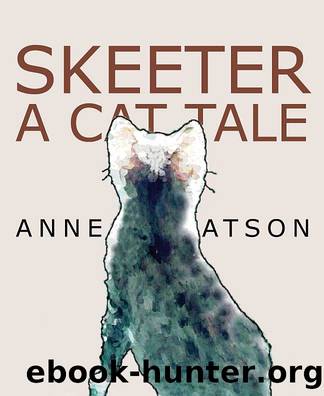 Skeeter: A Cat Tale by Anne L. Watson