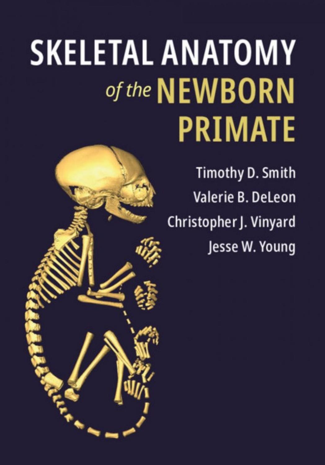 Skeletal Anatomy of the Newborn Primate by Unknow