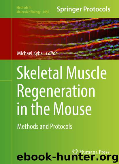 Skeletal Muscle Regeneration in the Mouse by Michael Kyba