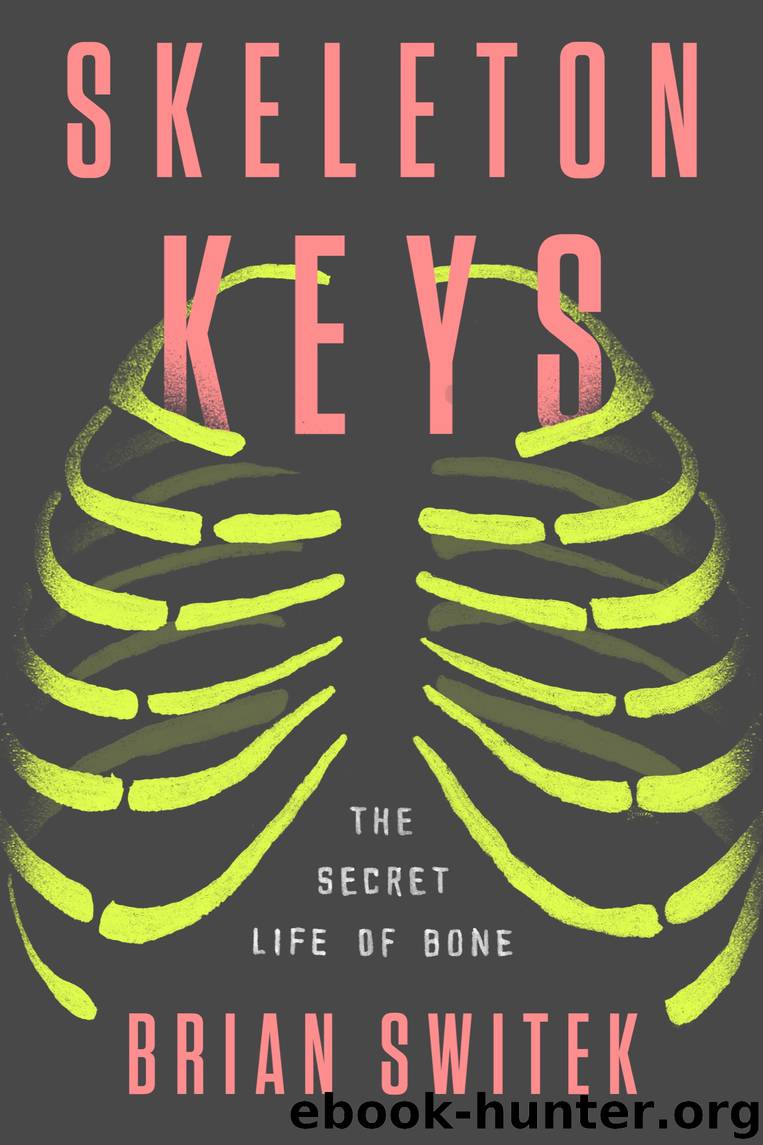 Skeleton Keys by Brian Switek