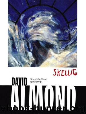 Skellig by David Almond